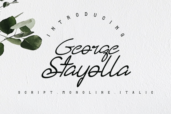 Discover George Stayolla Font: Elegant Modern Handwriting